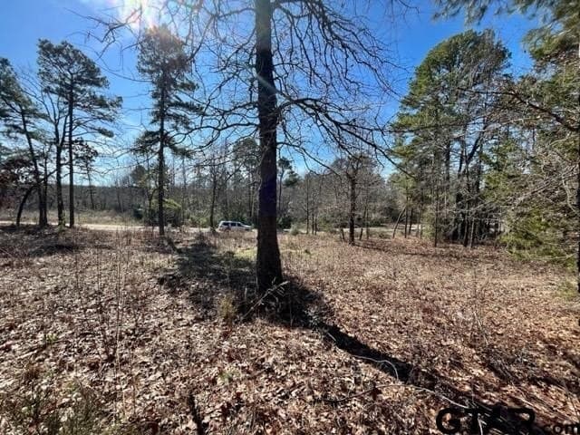 0.75 acres in Wood County - photo 12