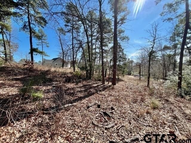 0.75 acres in Wood County - photo 8