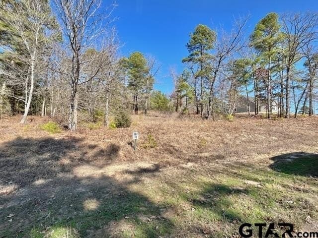 0.75 acres in Wood County - photo 4