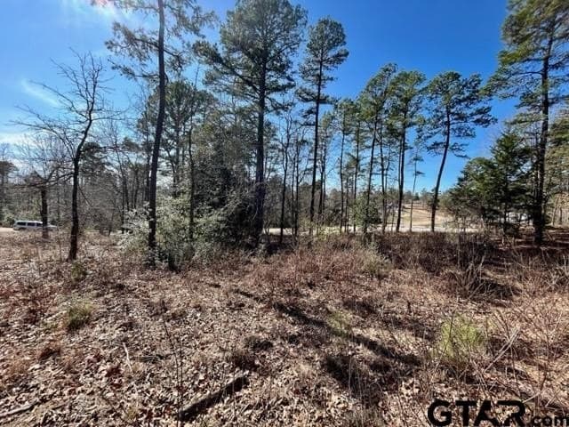 0.75 acres in Wood County - photo 7