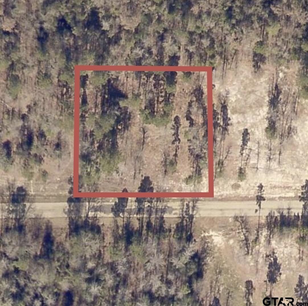 0.75 acres in Wood County - photo 2