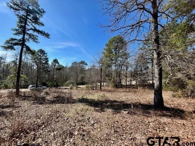 0.75 acres in Wood County - photo 13