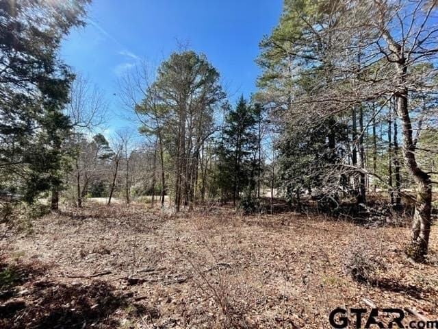 0.75 acres in Wood County - photo 10