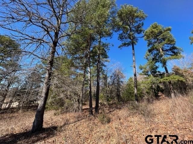 0.75 acres in Wood County - photo 14