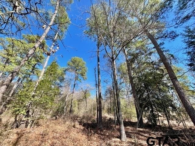0.75 acres in Wood County - photo 3