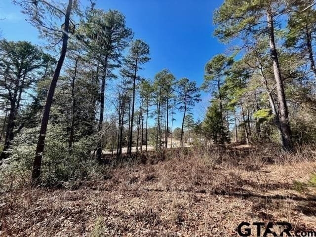 0.75 acres in Wood County - photo 6
