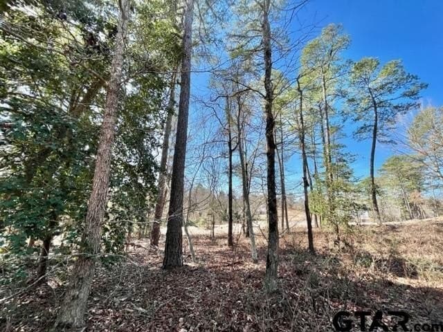 0.75 acres in Wood County - photo 5