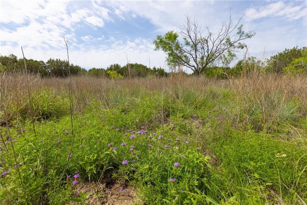 40 acres in LAMPASAS County - photo 11