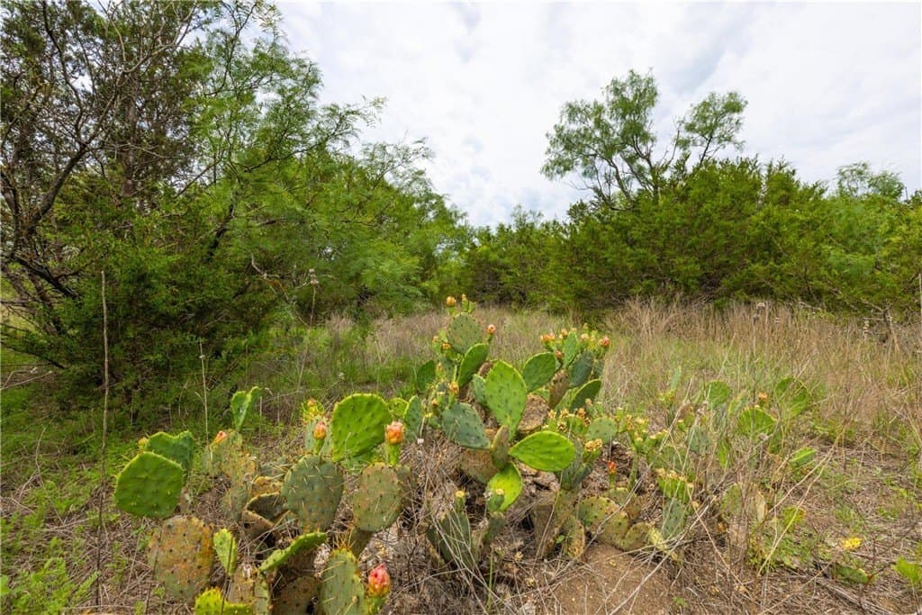 40 acres in LAMPASAS County - photo 12