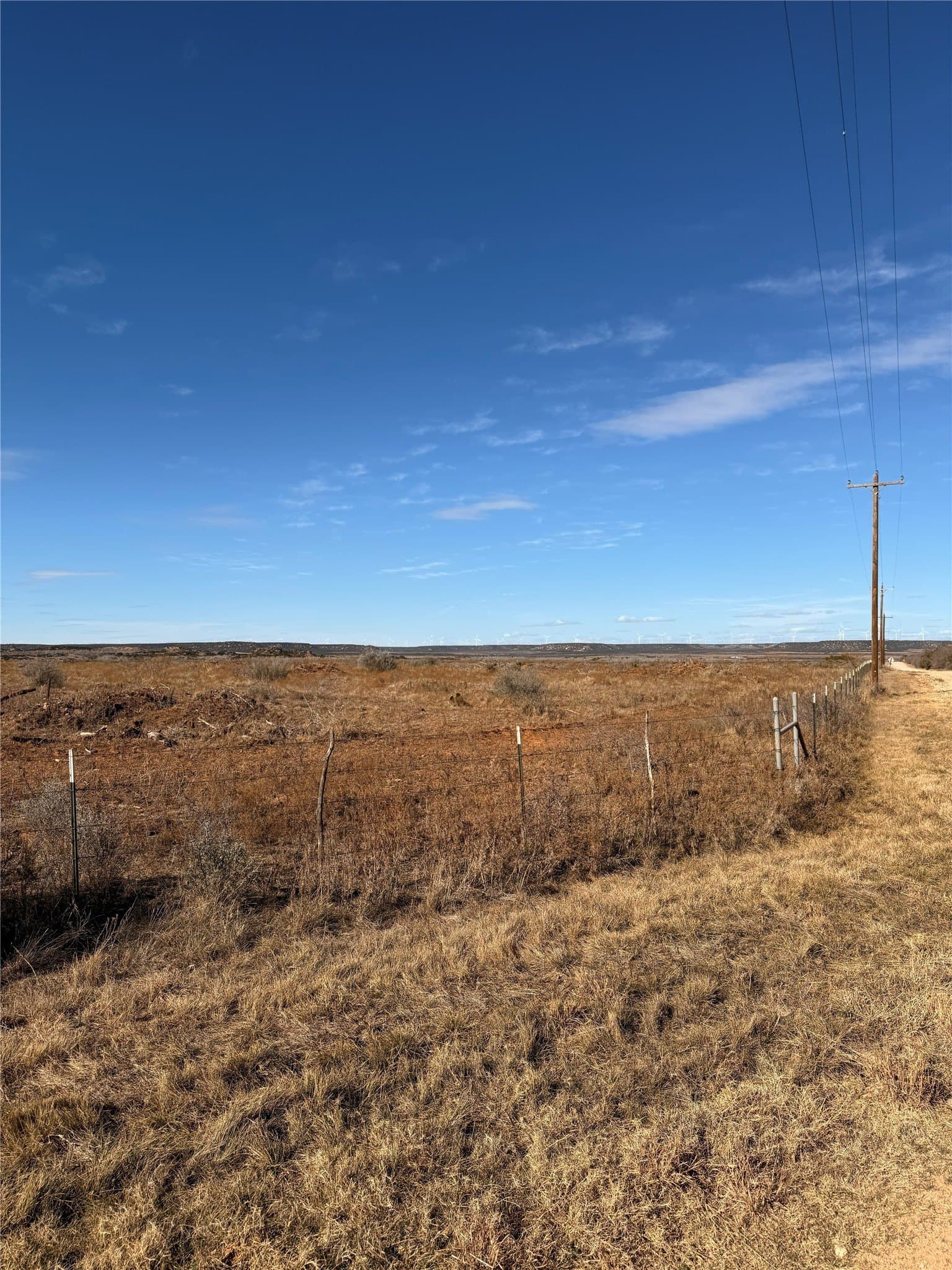25 acres in Taylor County gallery image 3