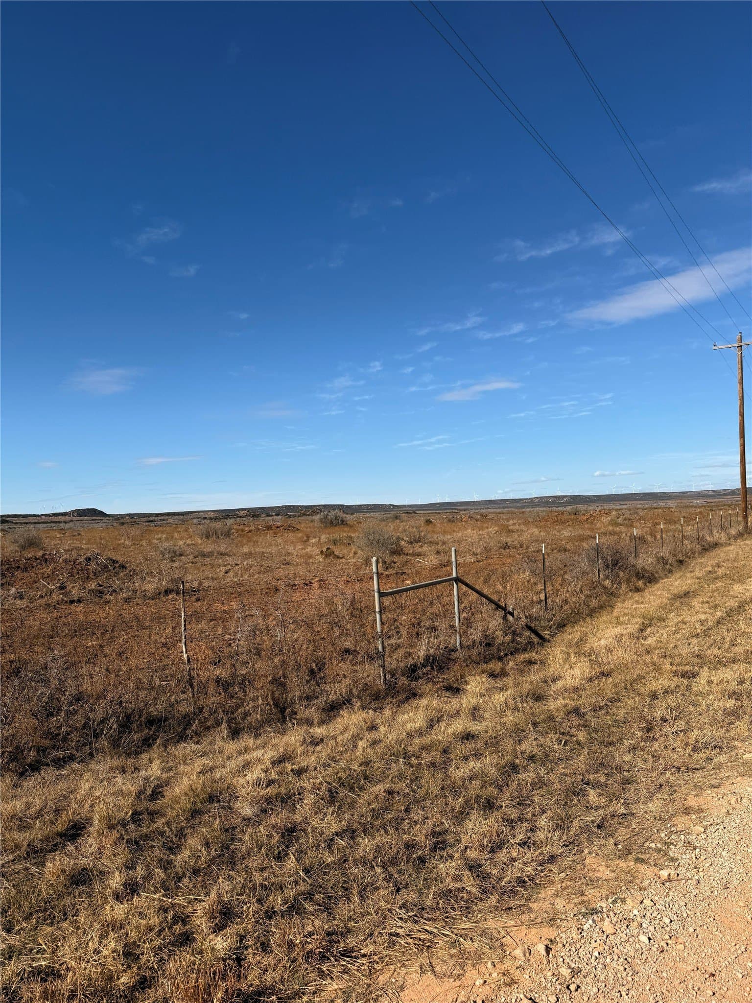 25 acres in Taylor County gallery image 4