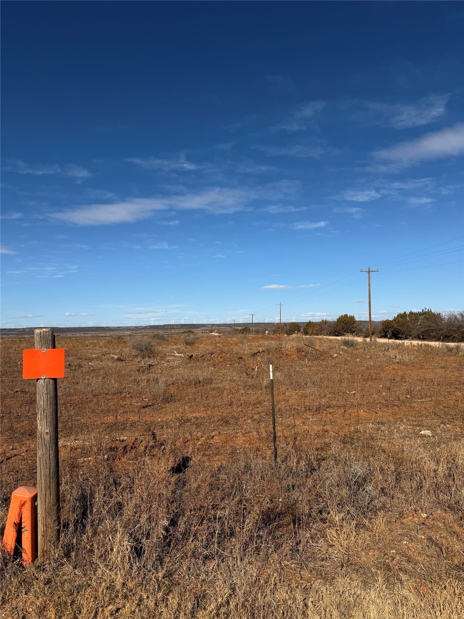 25 acres in Taylor County gallery image 2