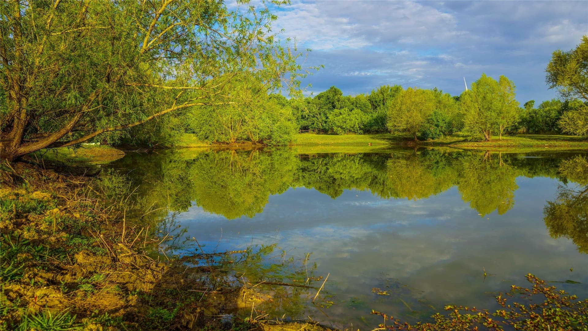 80.13 acres in Hill County - photo 40