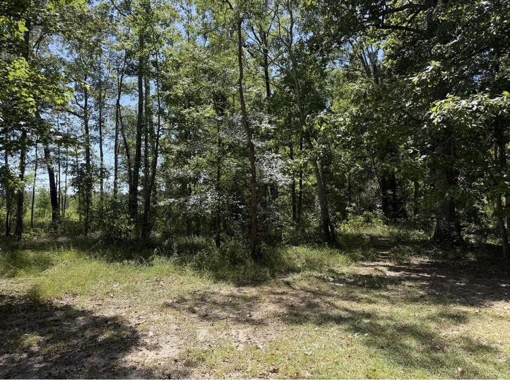 11.63 acres in Texas County - photo 50