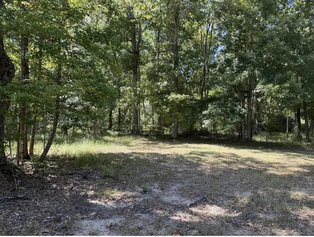 11.63 acres in Texas County - photo 49
