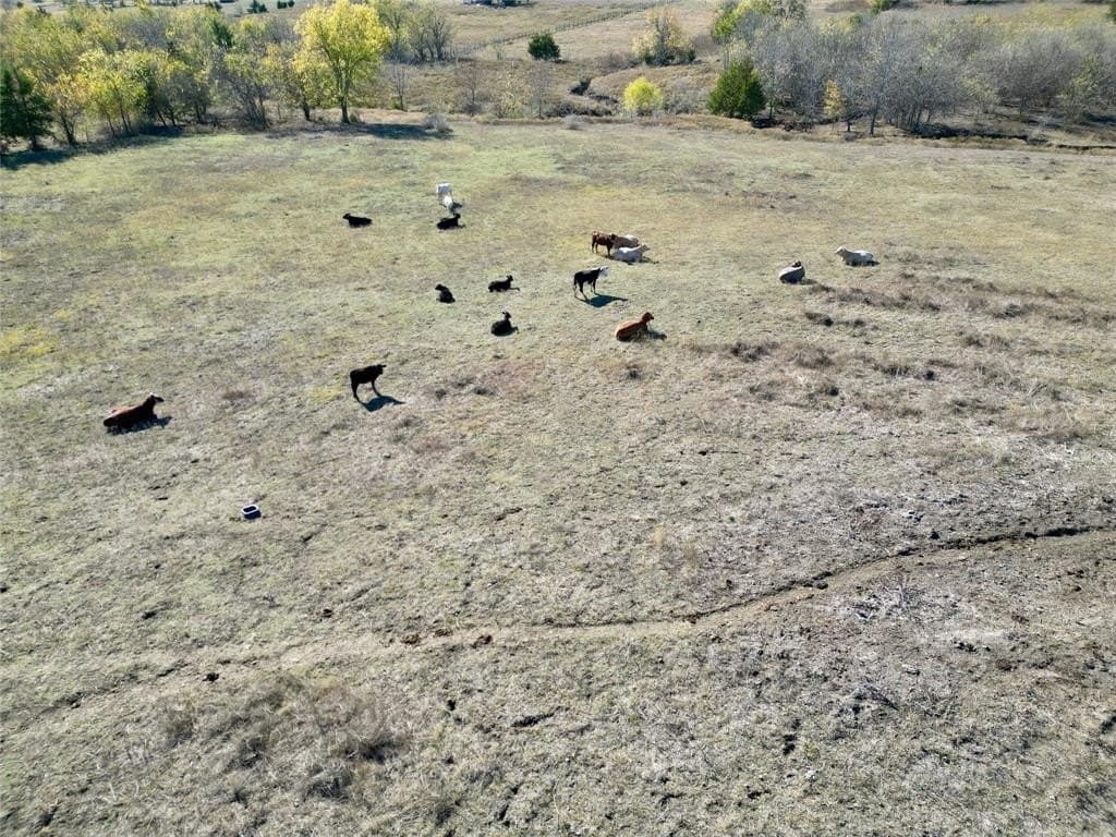 8.76 acres in Lamar County featured view