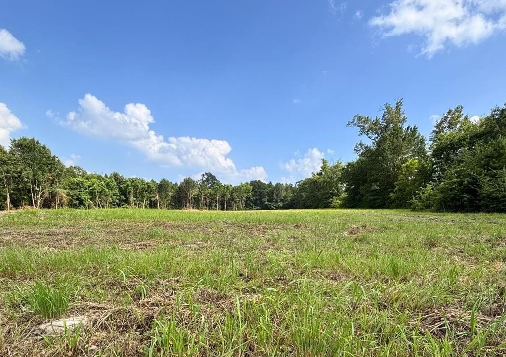 6.4 acres in Texas County gallery image 2