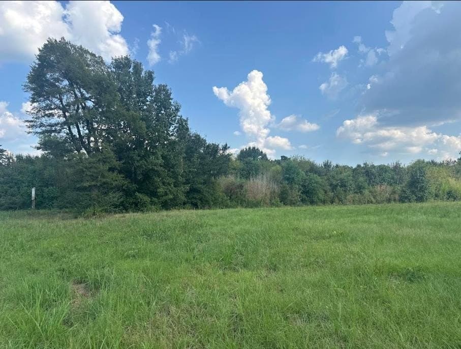 6.4 acres in Texas County gallery image 3