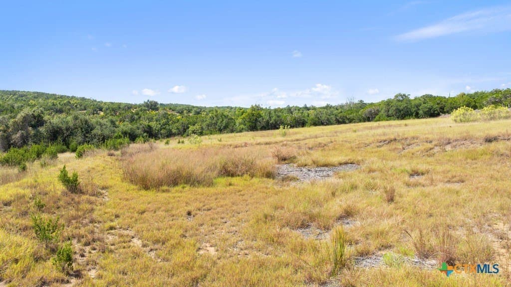 14.23 acres in Blanco County featured view