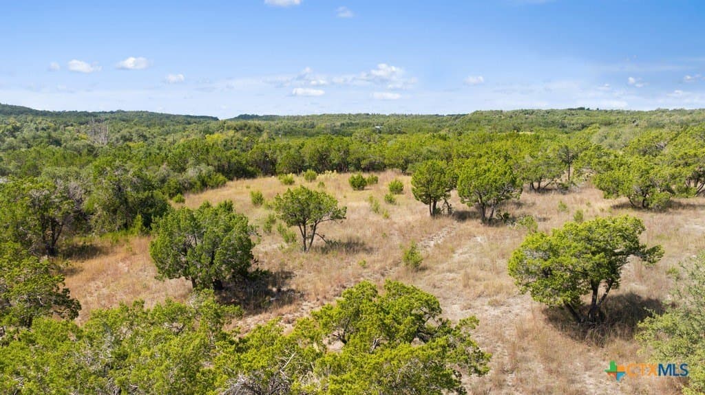 14.23 acres in Blanco County - photo 9