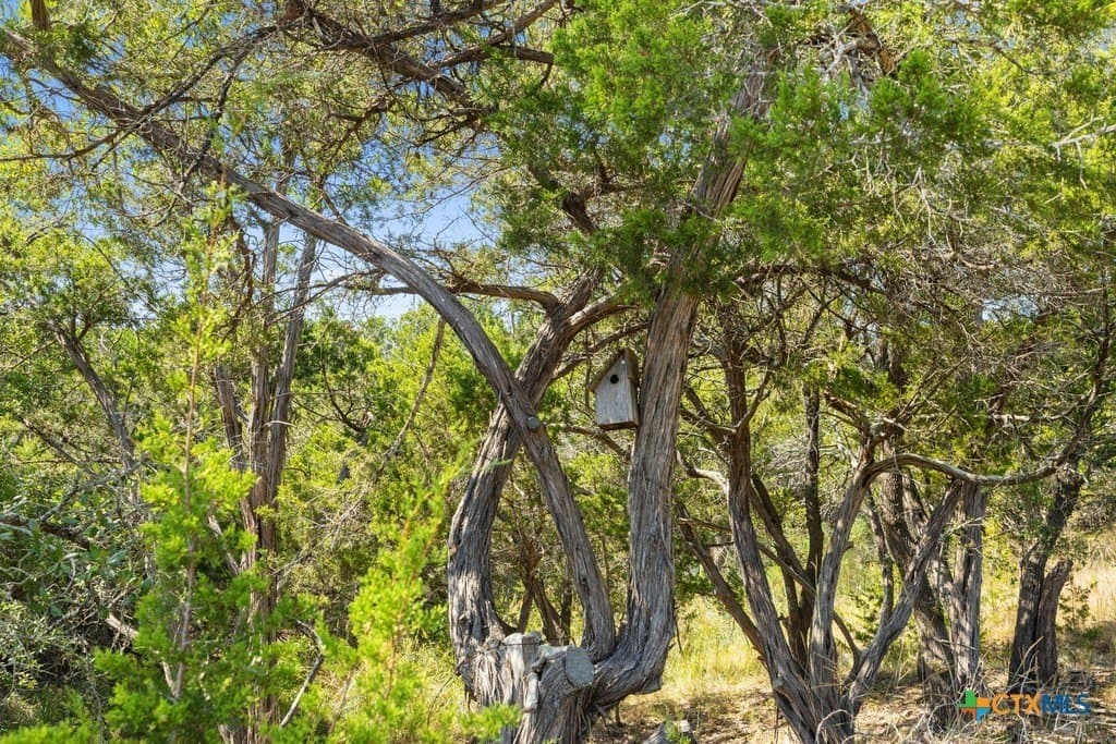 14.23 acres in Blanco County - photo 25