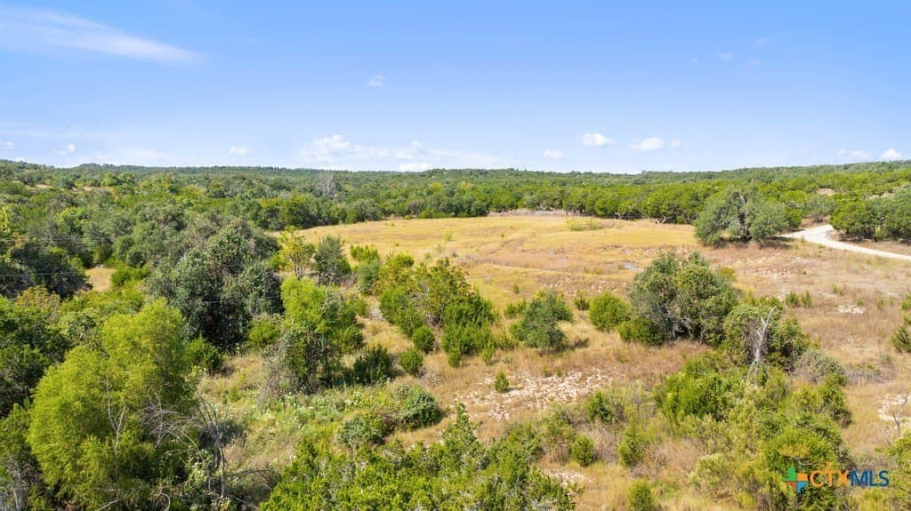 14.23 acres in Blanco County gallery image 4