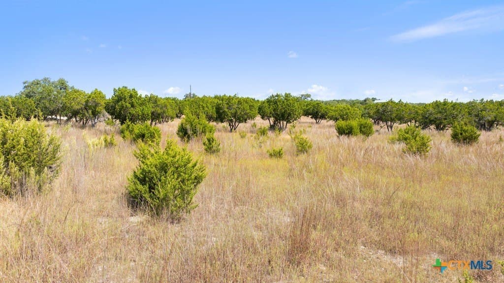 14.23 acres in Blanco County - photo 7