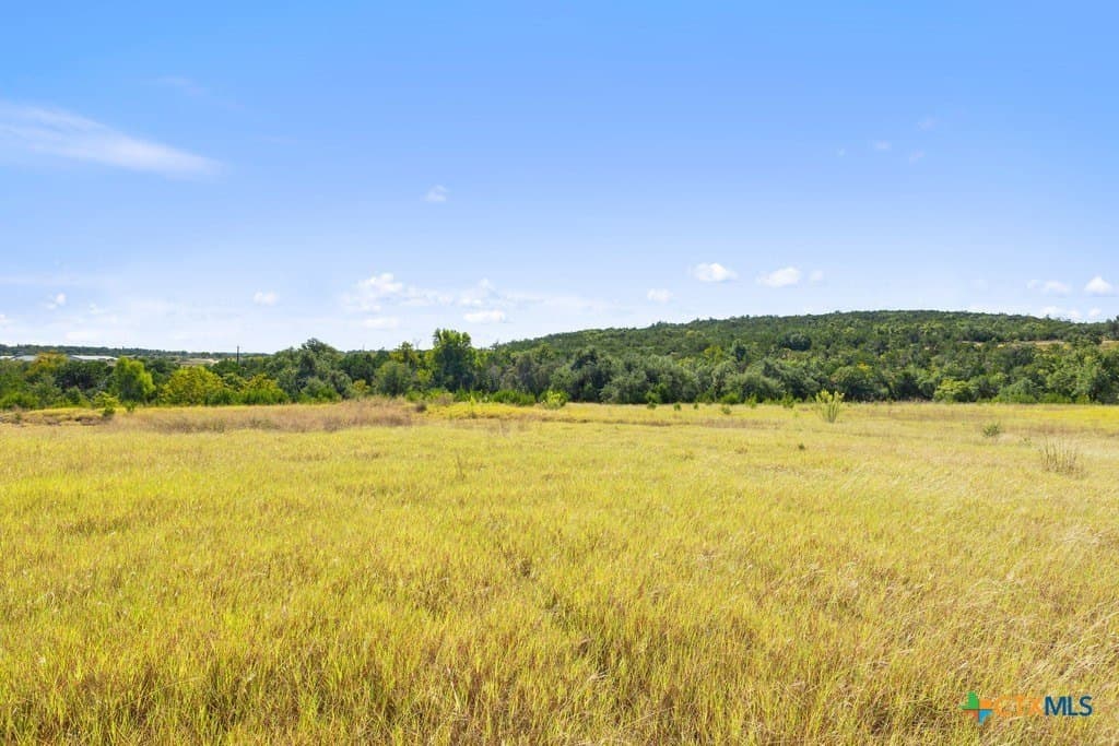 14.23 acres in Blanco County - photo 14