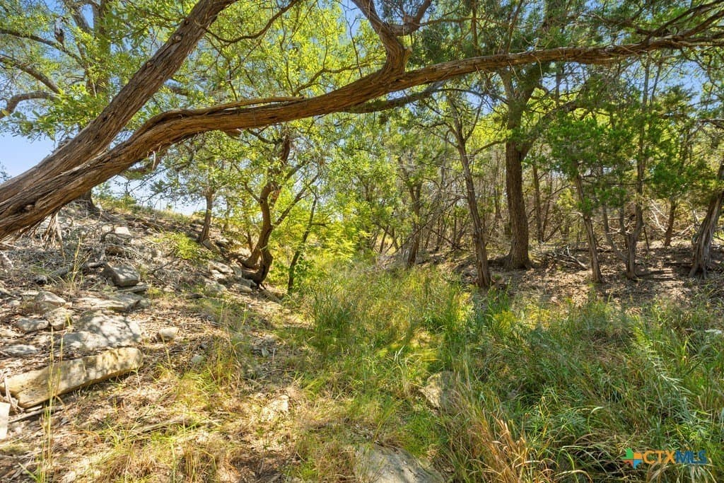 14.23 acres in Blanco County - photo 17
