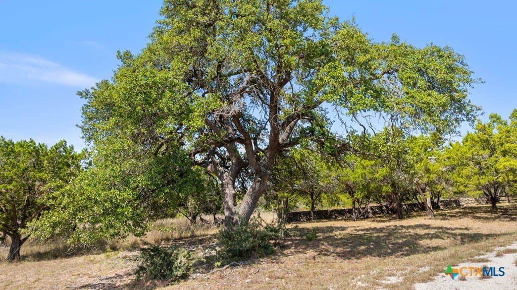 14.23 acres in Blanco County - photo 12