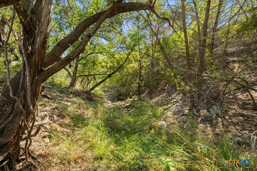 14.23 acres in Blanco County - photo 18
