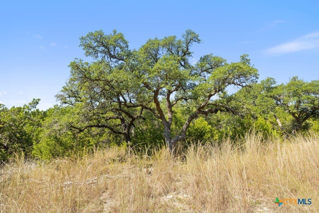 14.23 acres in Blanco County - photo 16