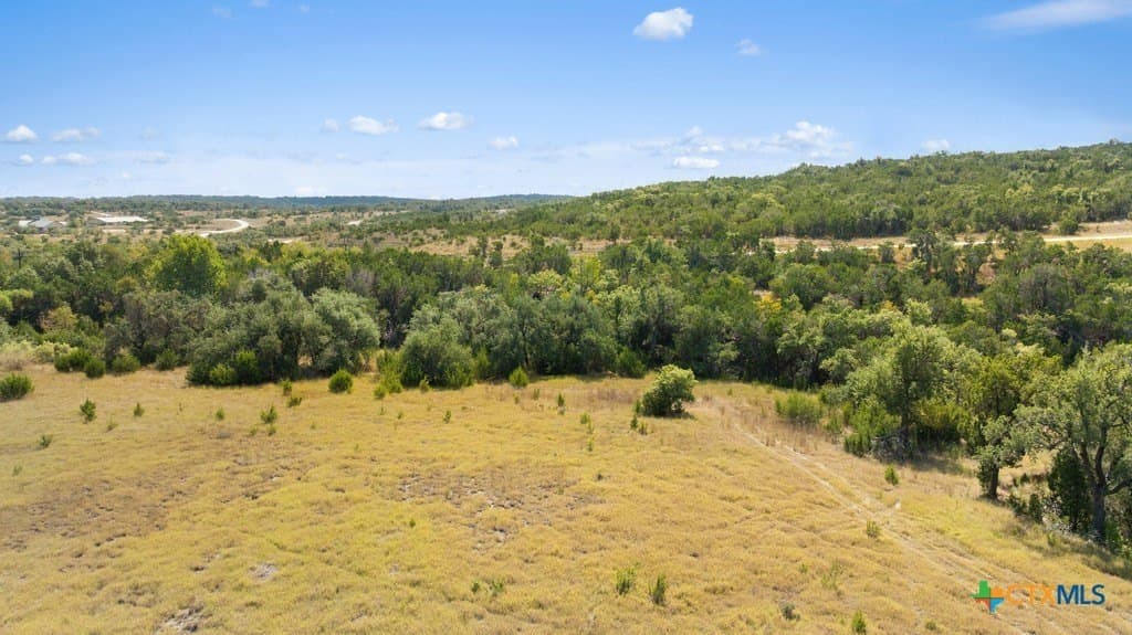 14.23 acres in Blanco County - photo 10