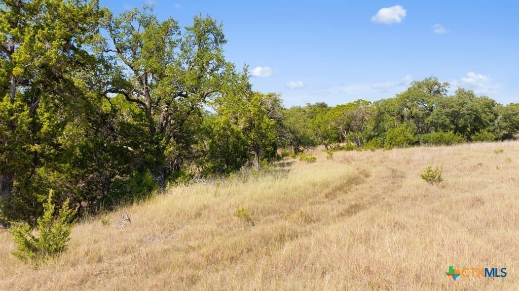 14.23 acres in Blanco County - photo 20