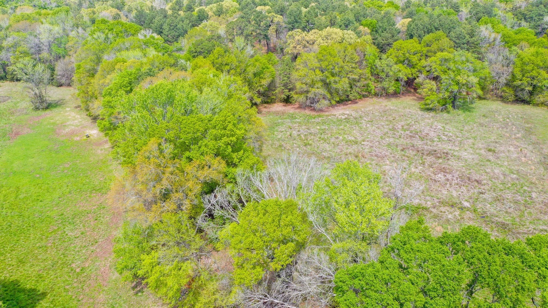 96.14 acres in Henderson County - photo 12