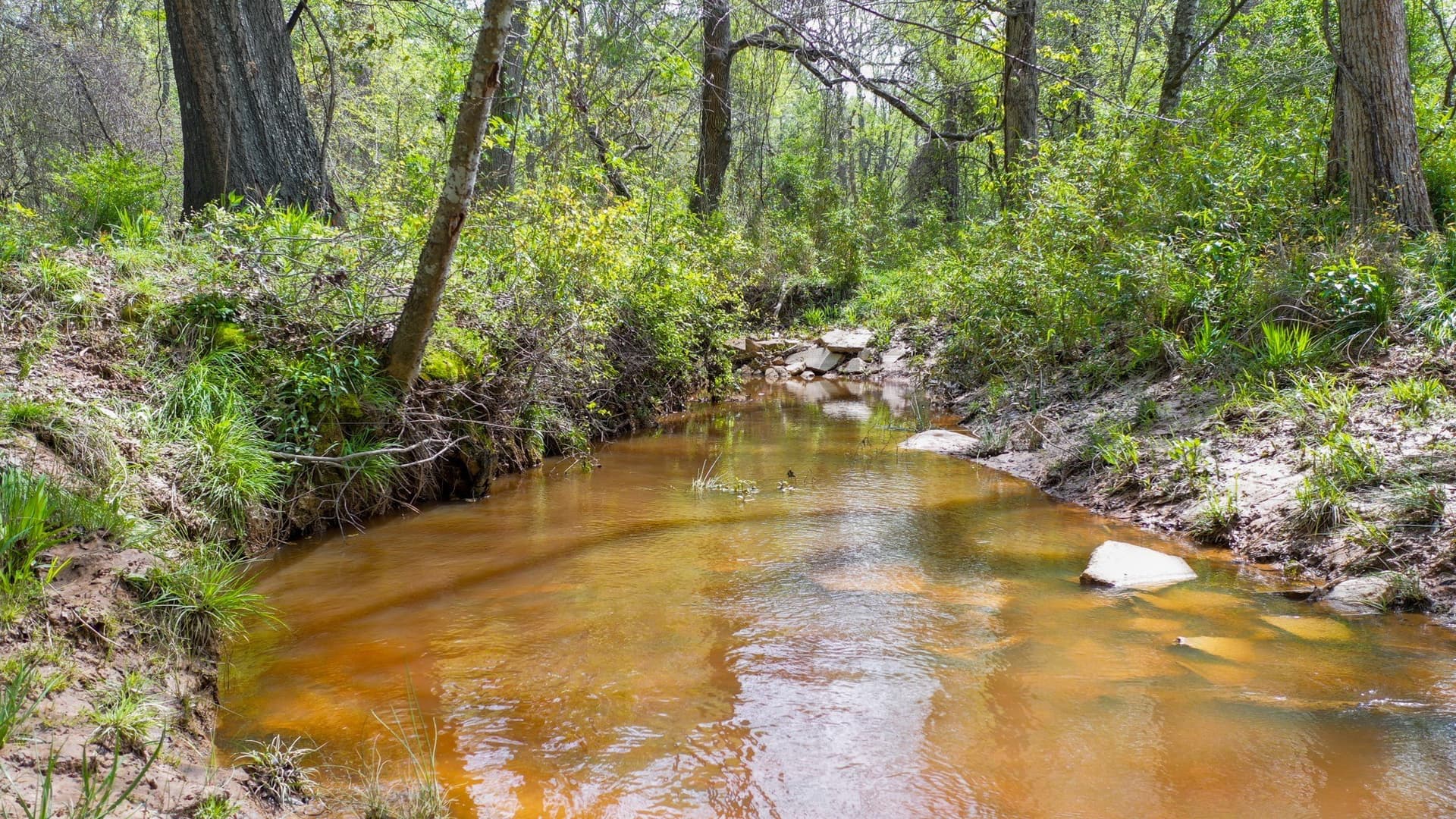 96.14 acres in Henderson County - photo 22