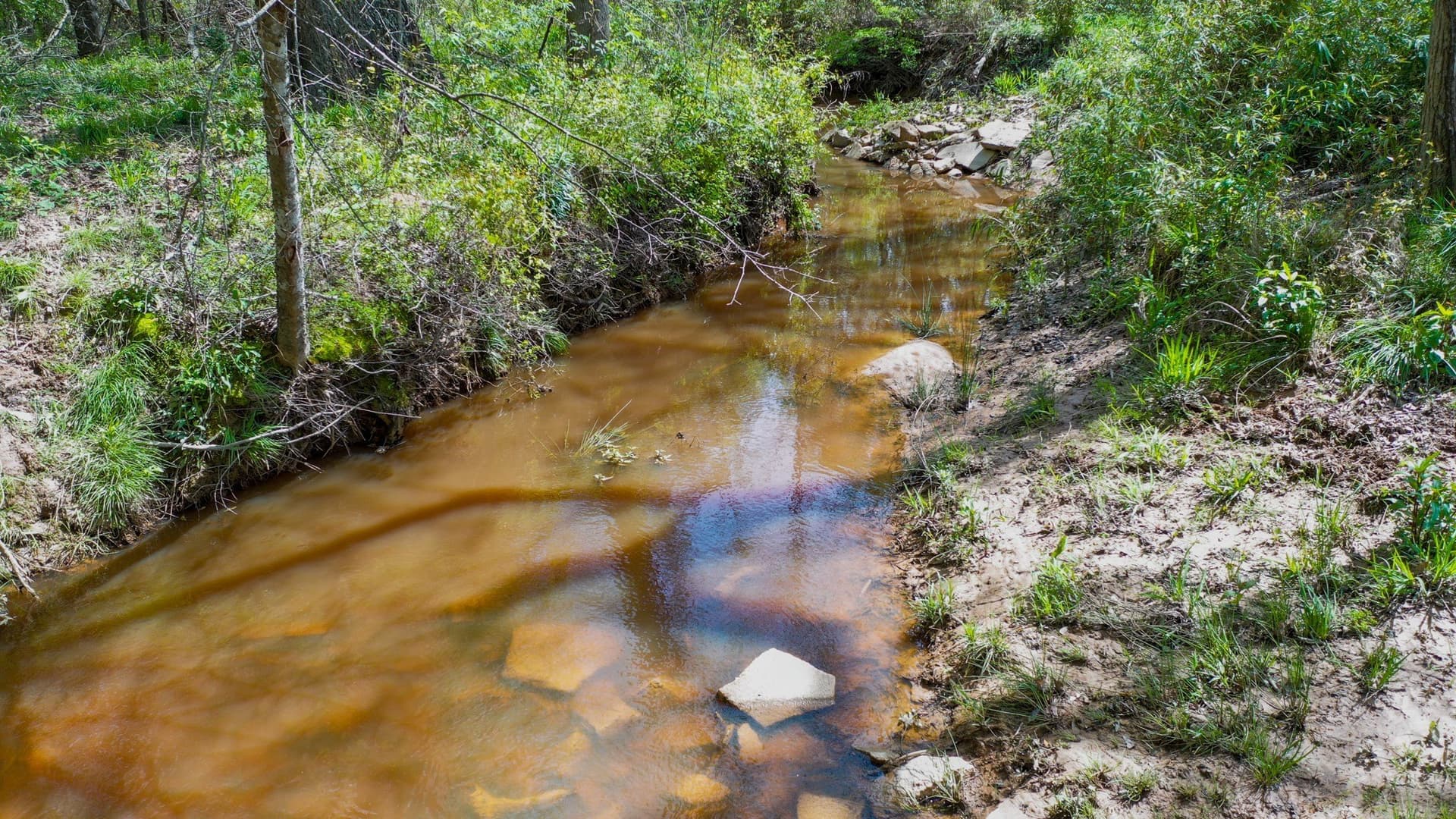 96.14 acres in Henderson County - photo 21