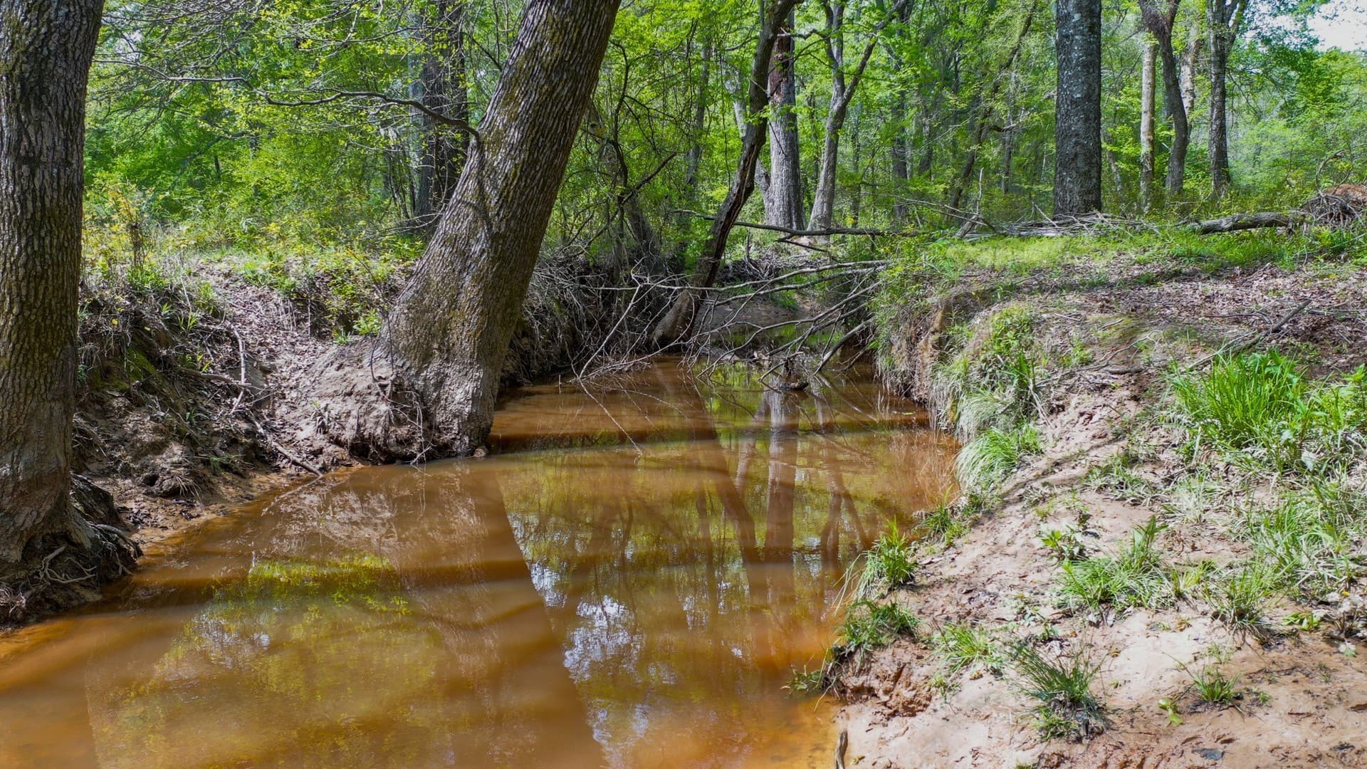 96.14 acres in Henderson County - photo 10