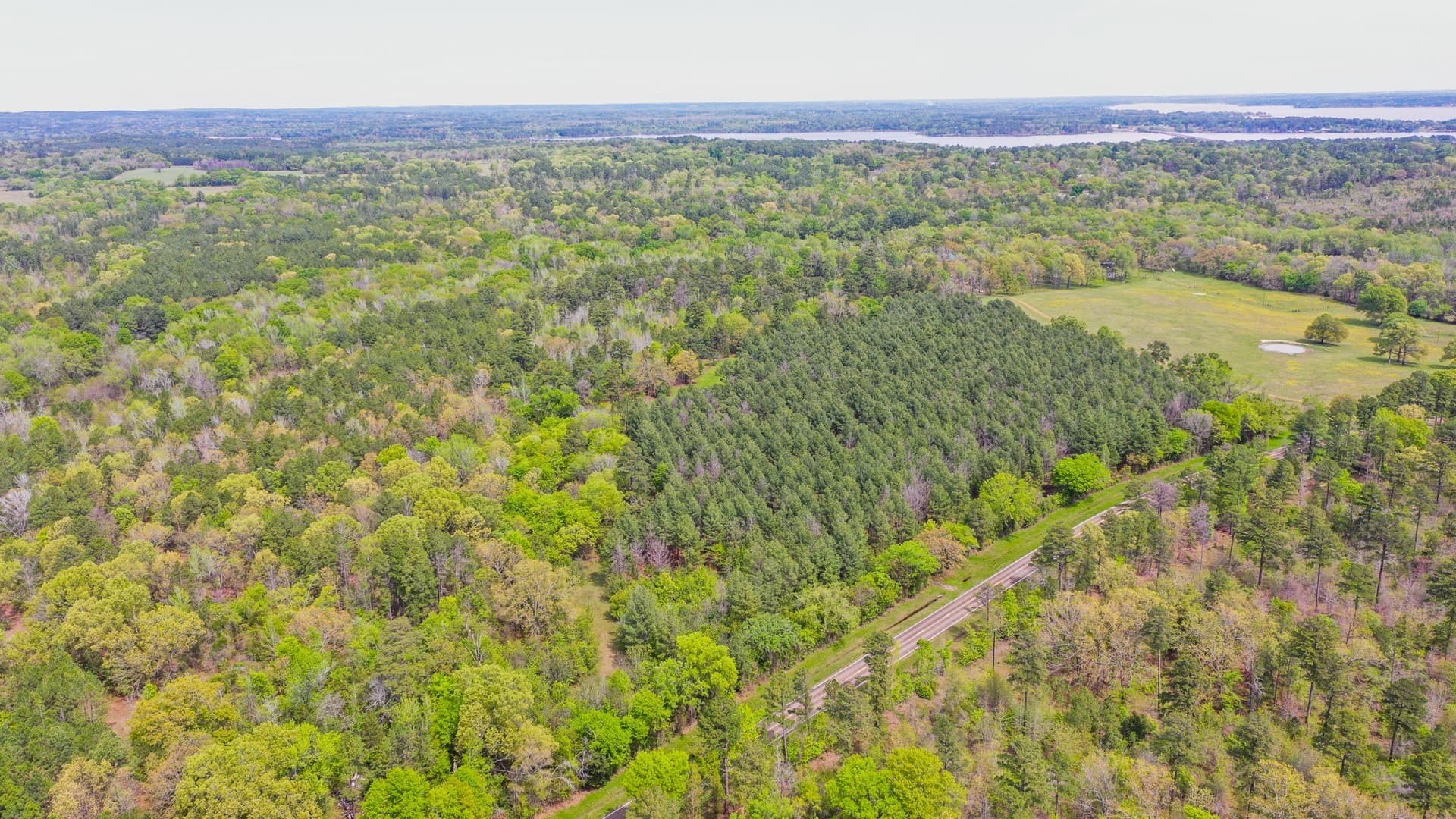 96.14 acres in Henderson County