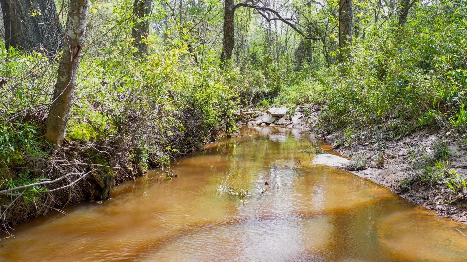 96.14 acres in Henderson County - photo 11