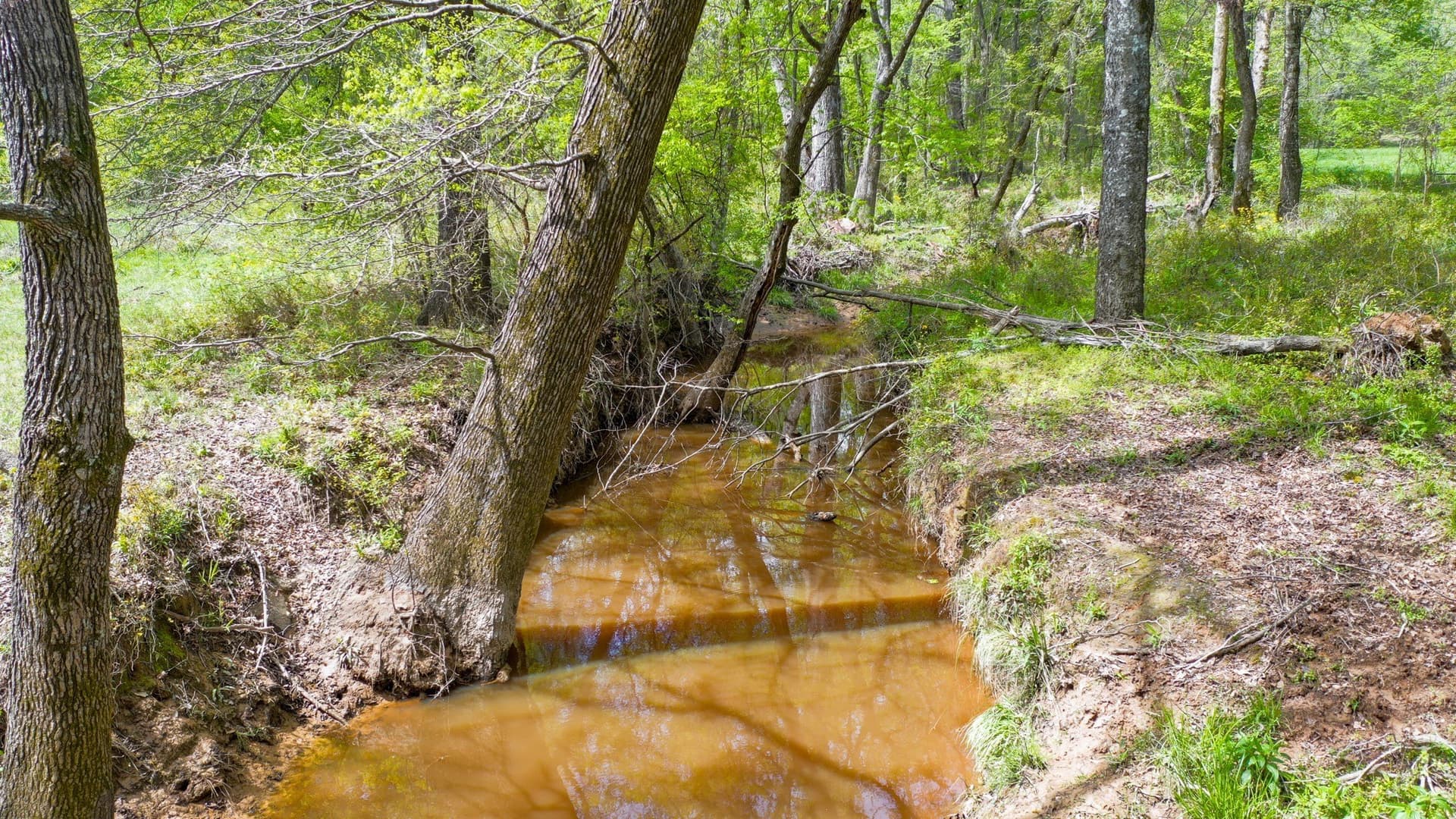 96.14 acres in Henderson County - photo 19
