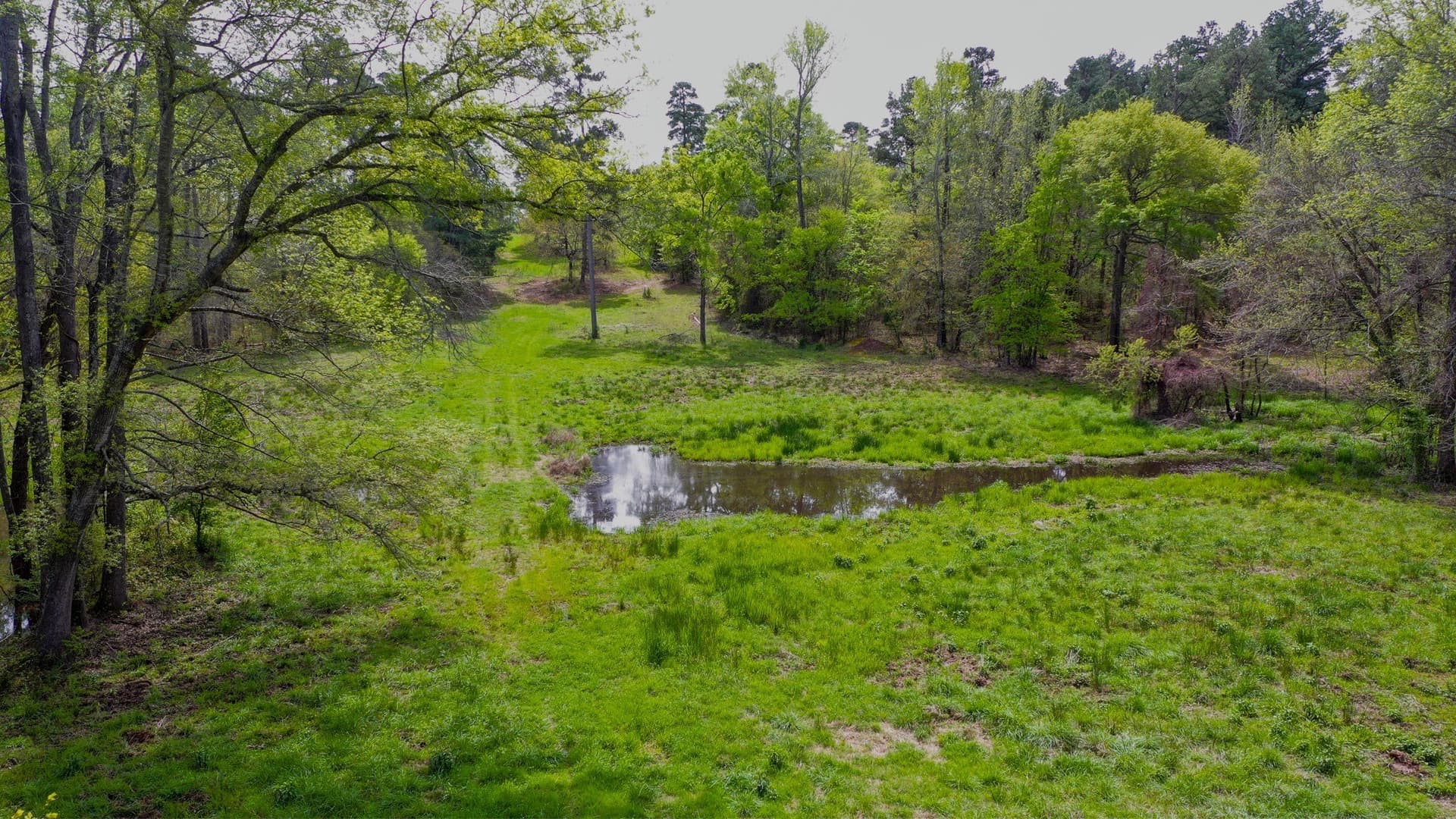 96.14 acres in Henderson County - photo 9