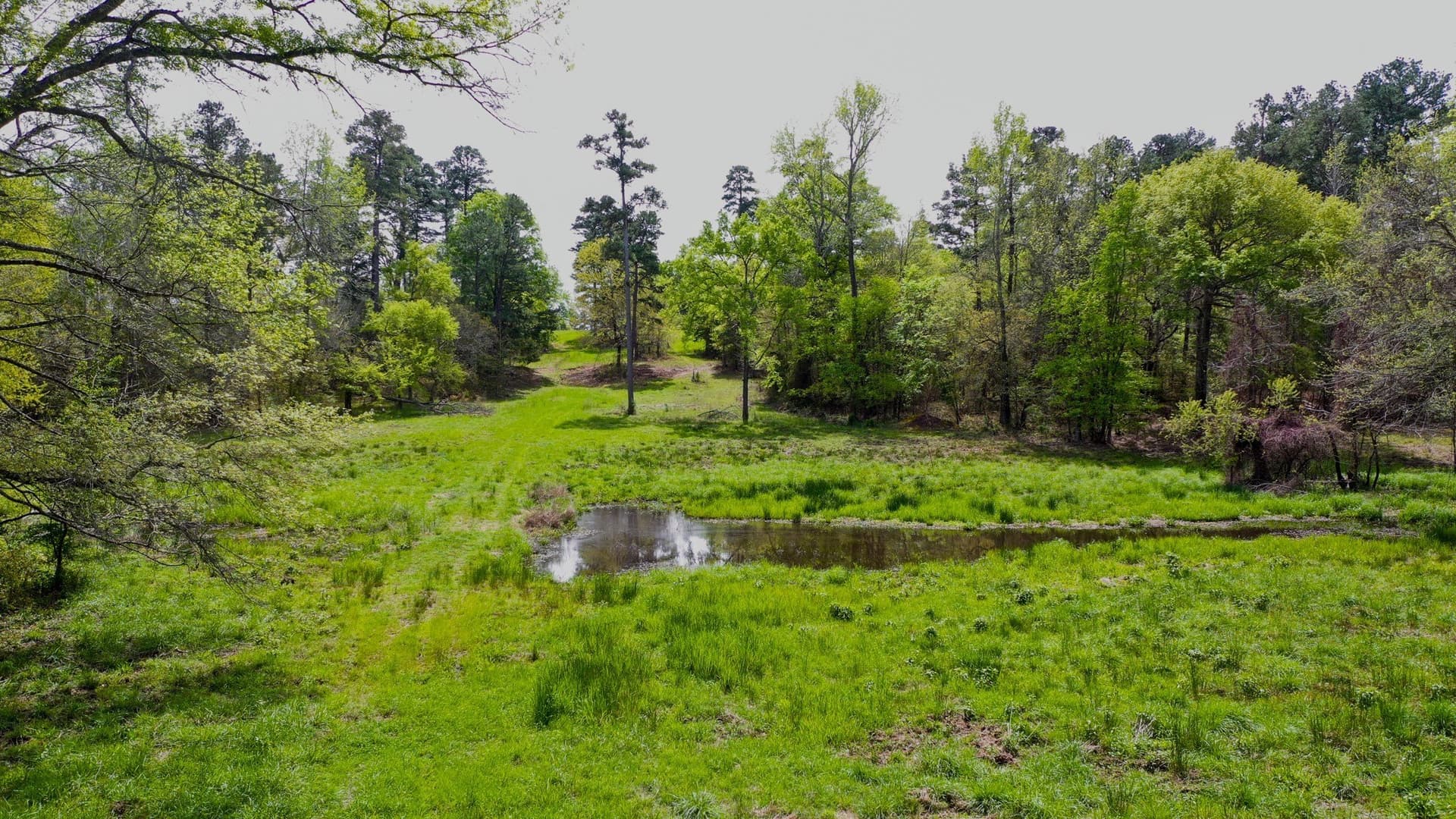 96.14 acres in Henderson County - photo 14