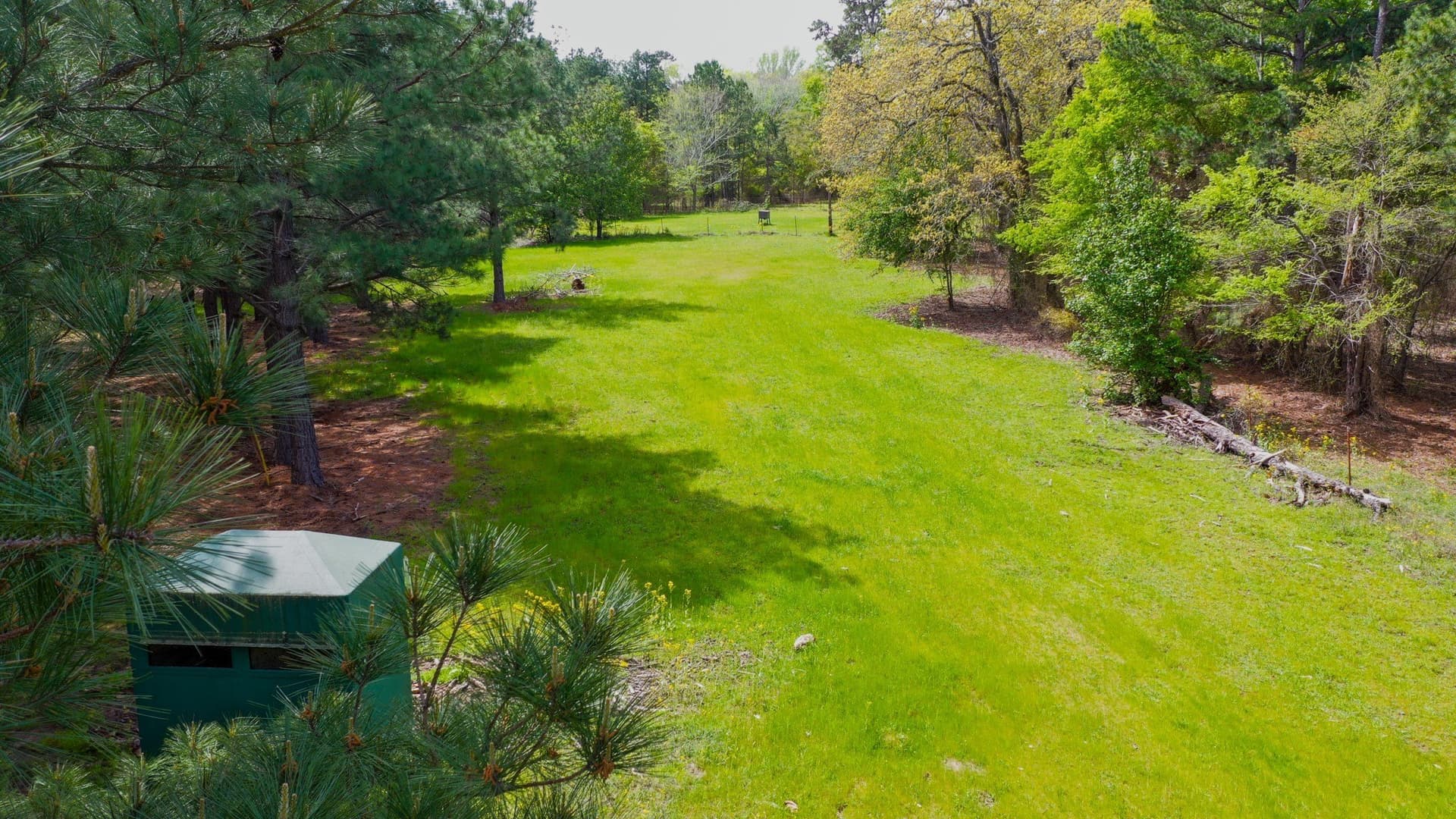 96.14 acres in Henderson County - photo 6