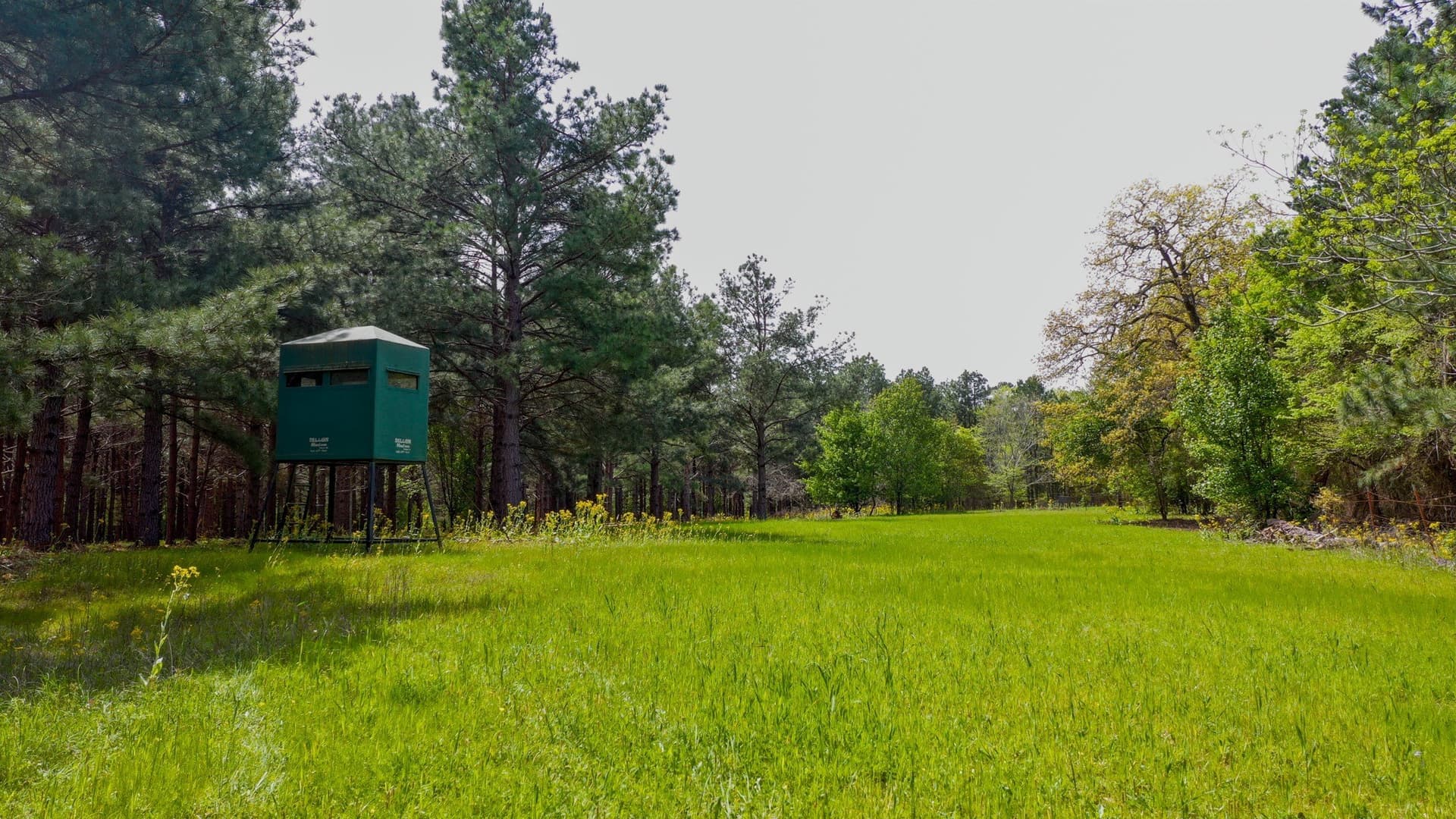 96.14 acres in Henderson County - photo 8