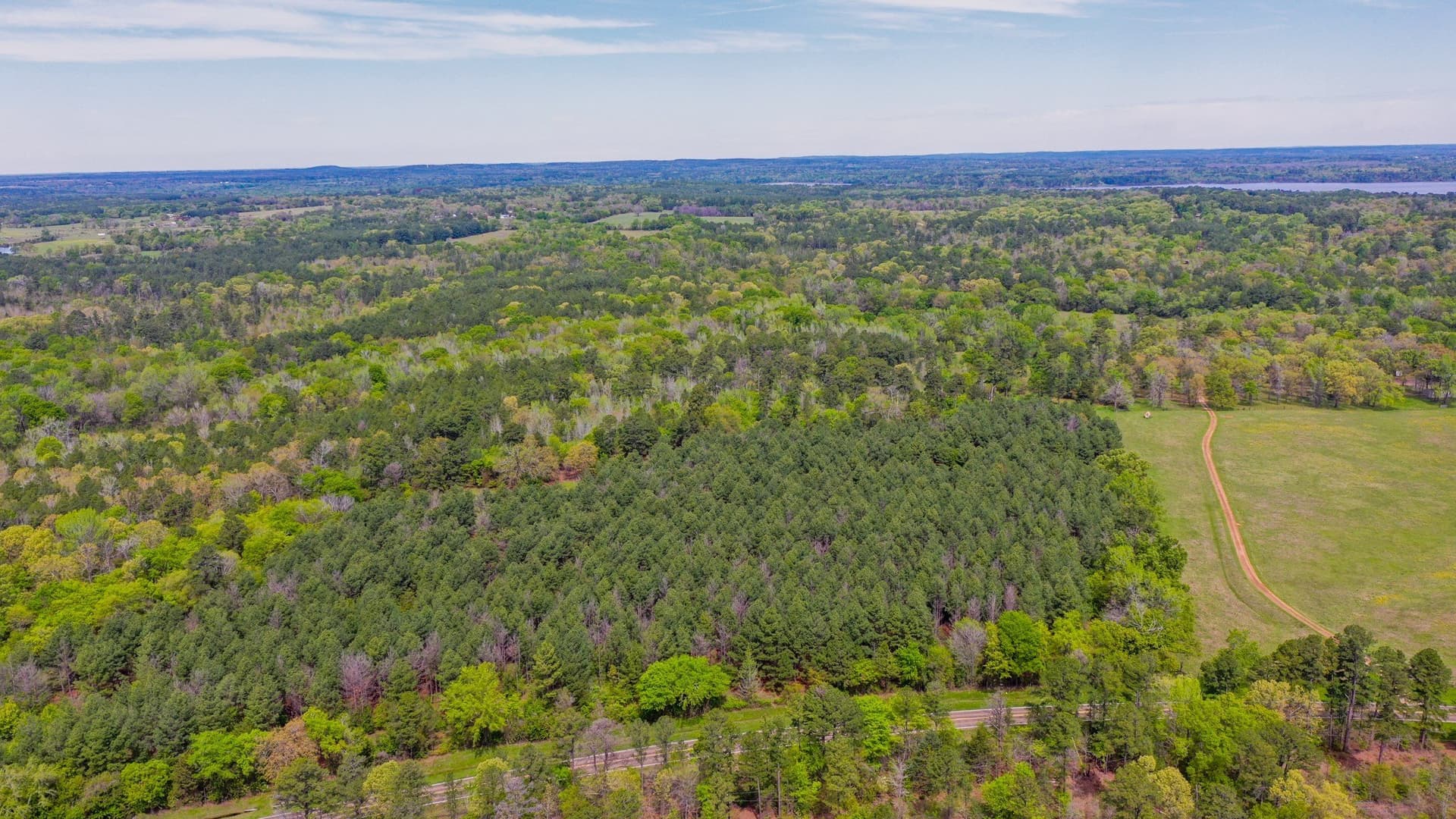 96.14 acres in Henderson County featured view