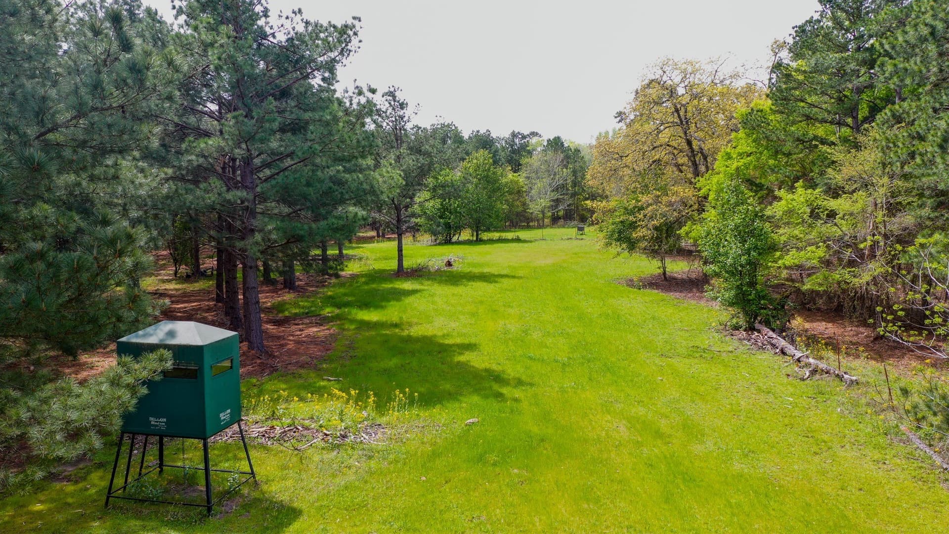 96.14 acres in Henderson County - photo 7