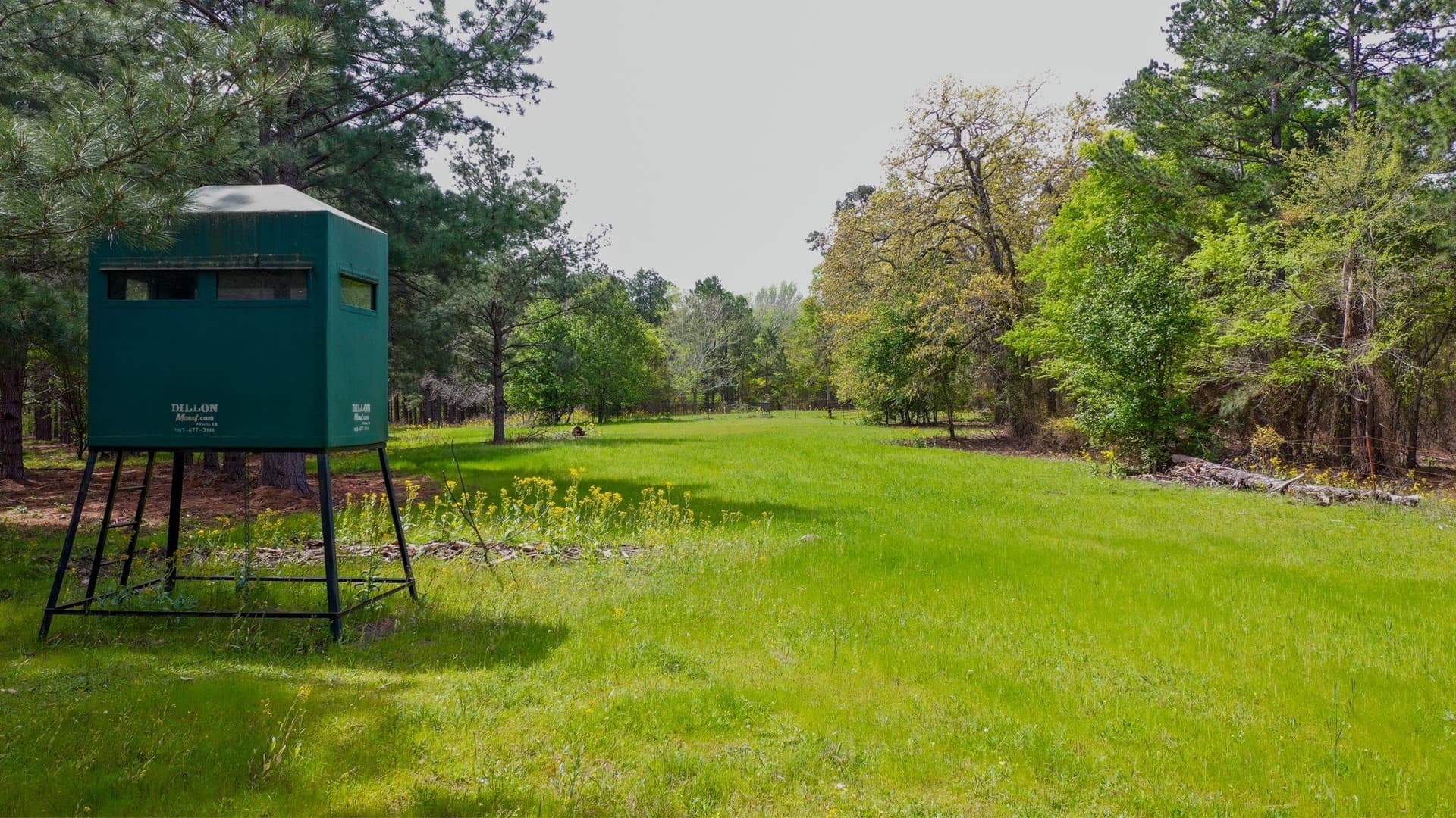 96.14 acres in Henderson County gallery image 2