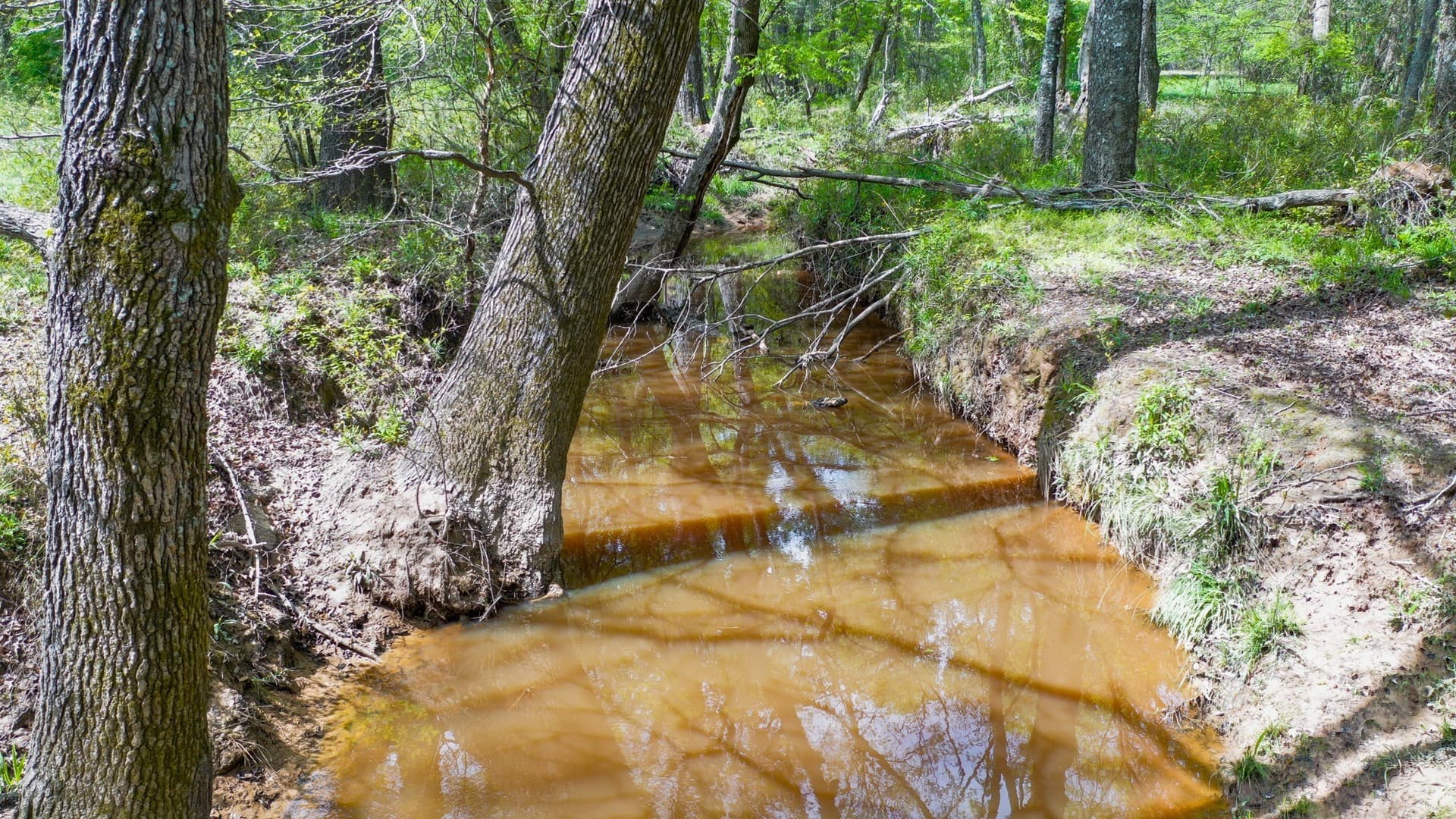 96.14 acres in Henderson County - photo 24