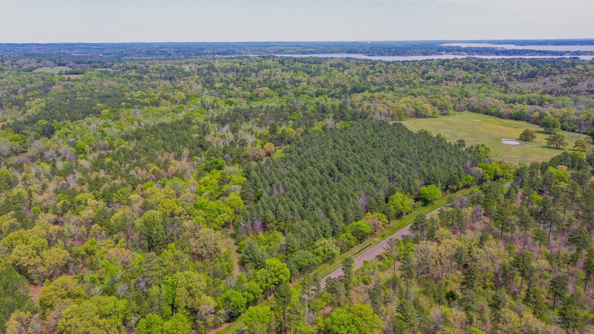 96.14 acres in Henderson County - photo 17